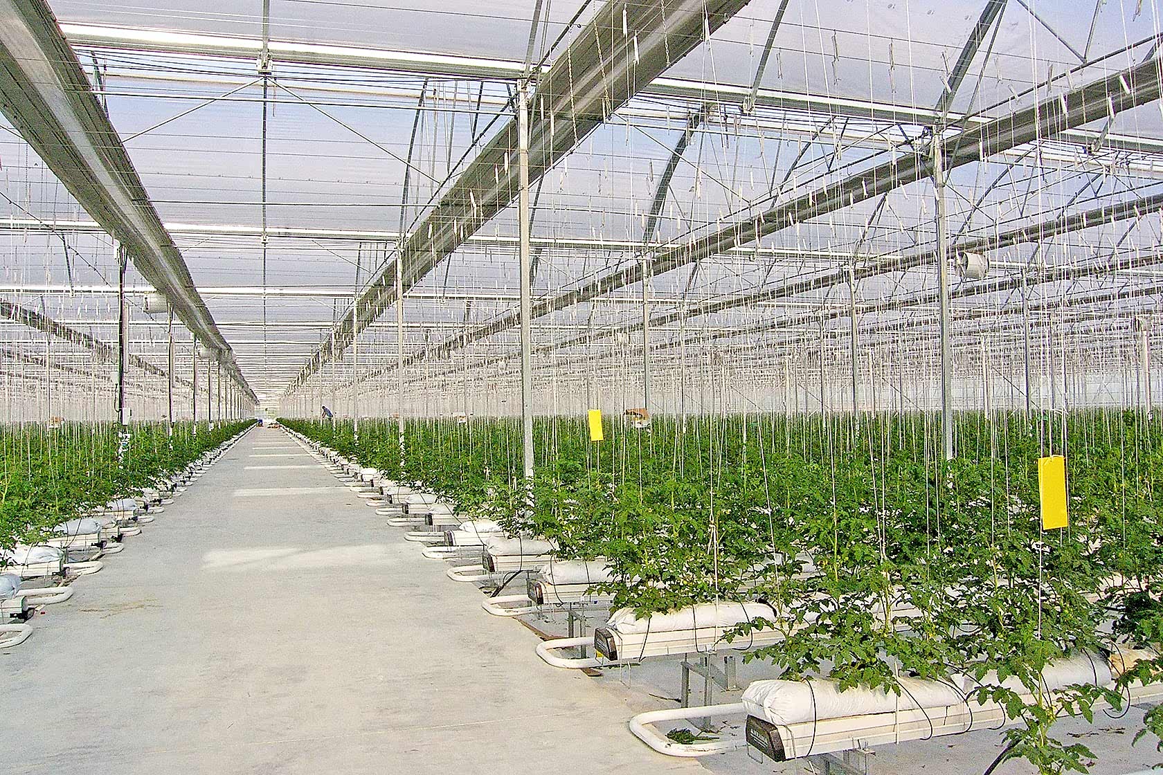 Anahtar Teslim Sera Sistemleri