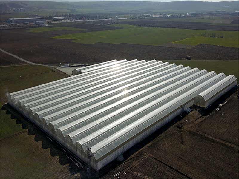 Ceo Tarım A.Ş Afyon