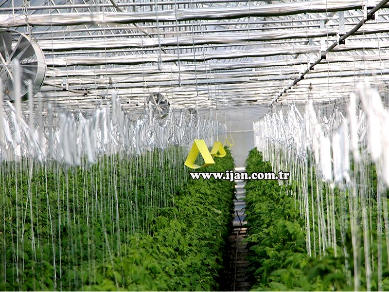 BİTKİ ASKI TEL SİSTEMİ